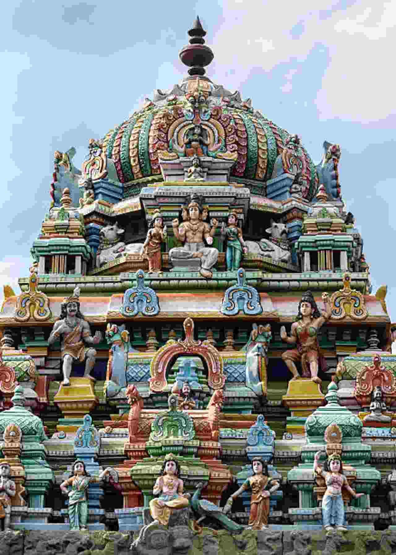 Tiruvannamalai Temple Recruitment 2025 for 109 Posts